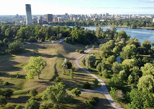 Greenery In Front Of City Skyline