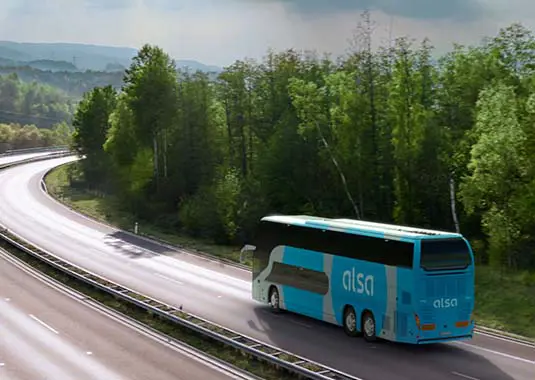 Alsa Bus On Forest Road
