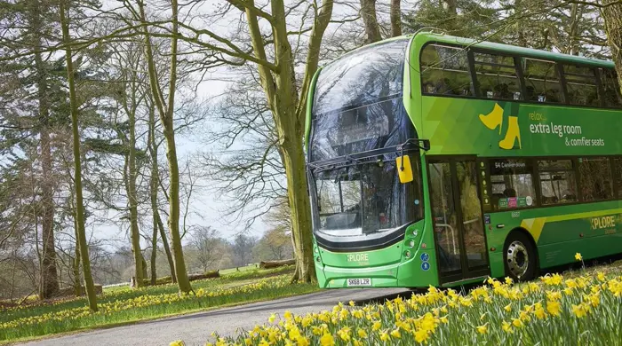 Emerald And Daffodils April 2019